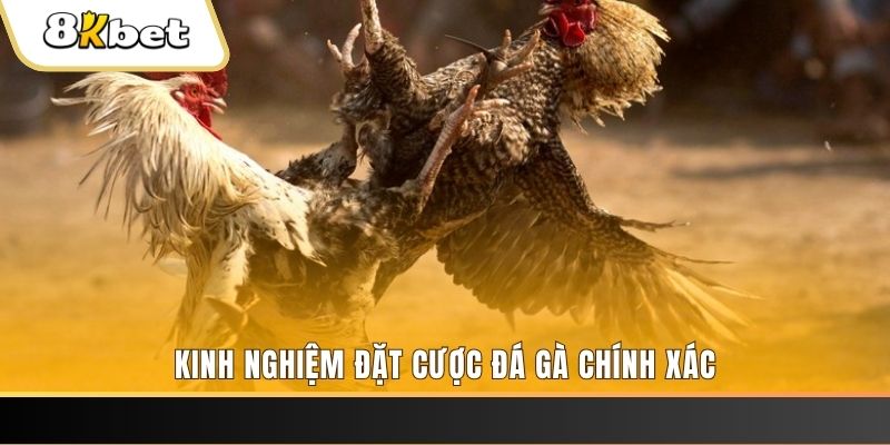 j888 xổ số thứ bảy hàng tuần