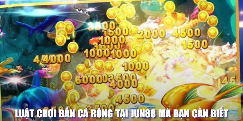 j888 xổ số đài hà nội