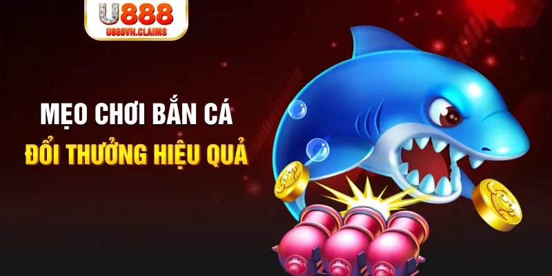 j888 gà chọi cam ranh