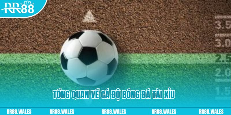 j888 đăng nhập roulette online