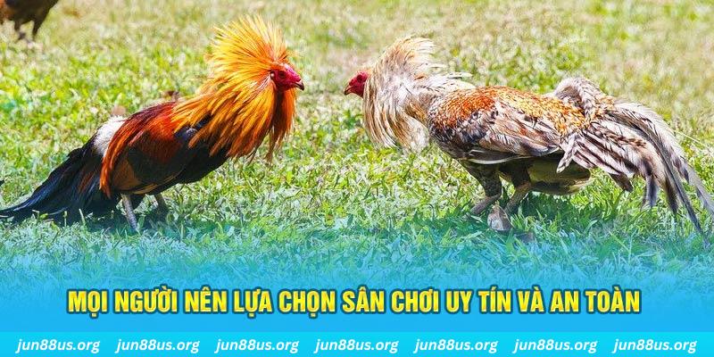 j888 Cỡ bảy