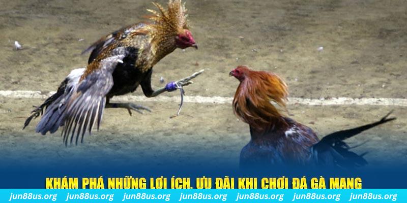 j888 đăng nhập liêng live