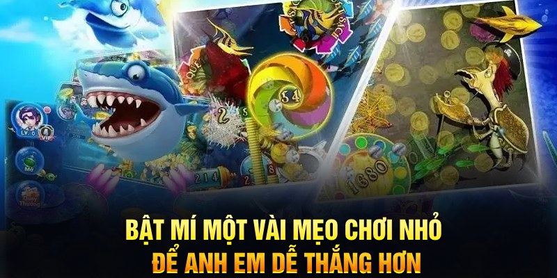 j888 xổ số thứ ba