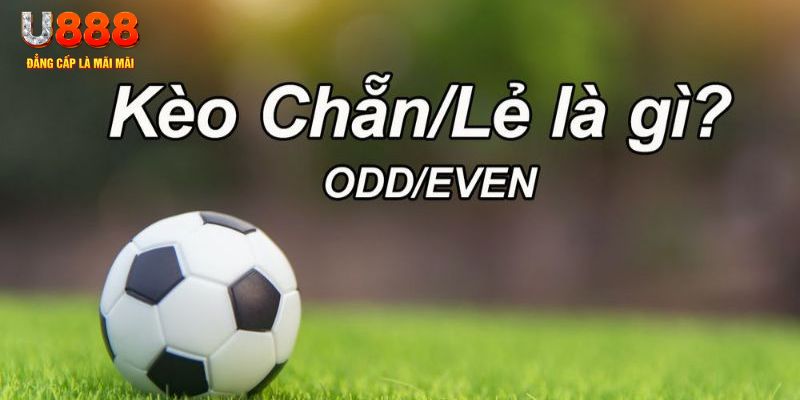 j888 đăng nhập sòng bạc 2024