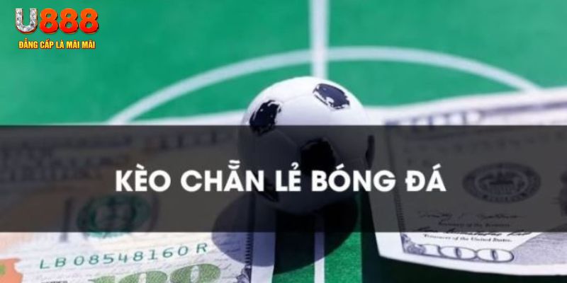 j888 gà chọi c1.tv