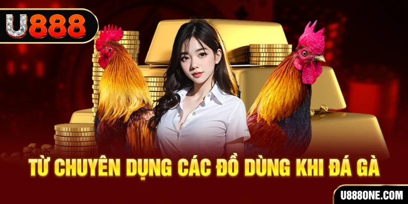 j888 đá gà trực tiếp campuchia